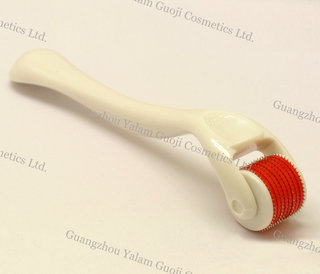 Mikro Nadellager mit 540 Disk Nadel Derma Roller für Whitening Anti-Aging